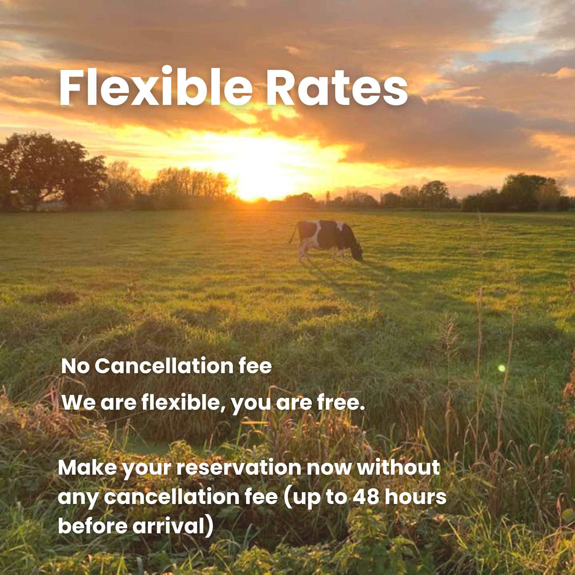 Flexible Rates